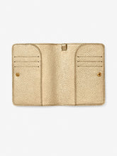 Load image into Gallery viewer, Custom Metallic Leather Passport Holder