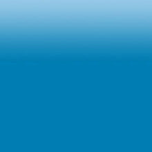 Load image into Gallery viewer, Custom Metallic Leather Passport Holder