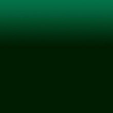 Load image into Gallery viewer, Custom Metallic Leather Passport Holder
